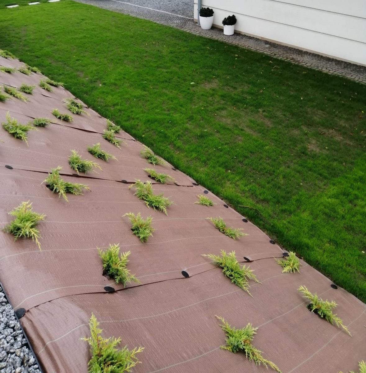 projekty ogrodów - kłodzko